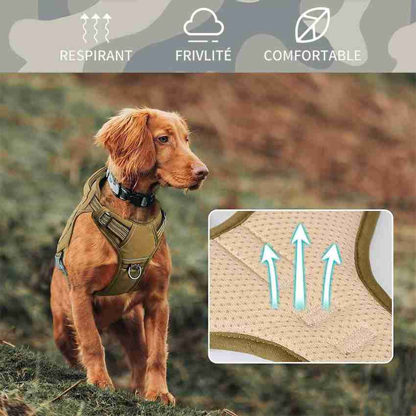 Comfort harness for large hot sale dogs