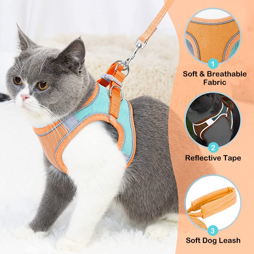 cat leashes: 7 best-selling cat leashes for your cat starting at Rs.120 -  The Economic Times