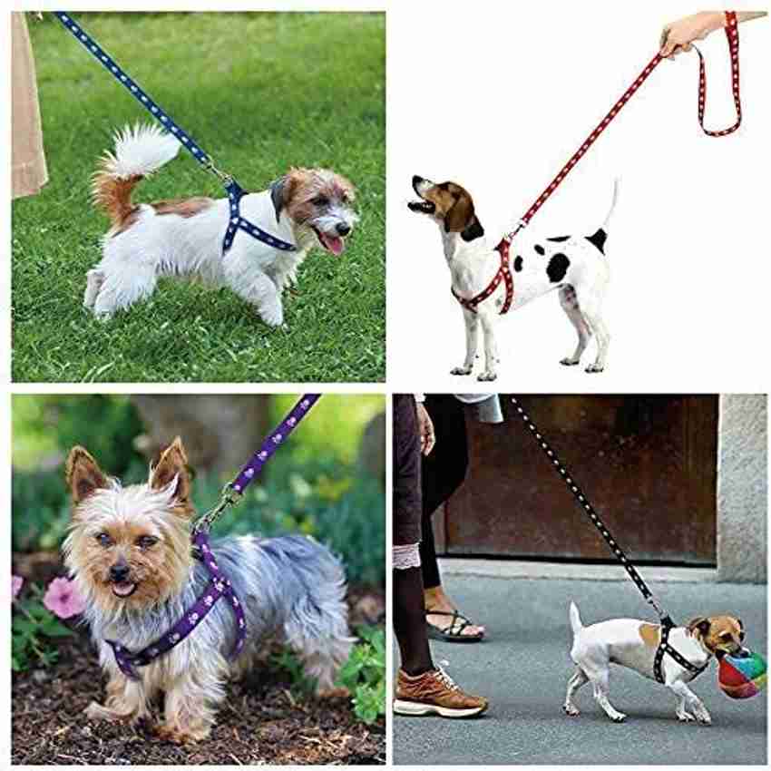 Dog on sale accessories flipkart