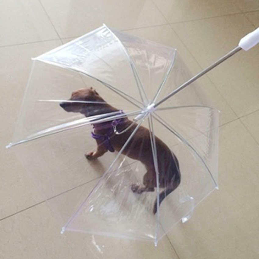 Umbrella leash clearance