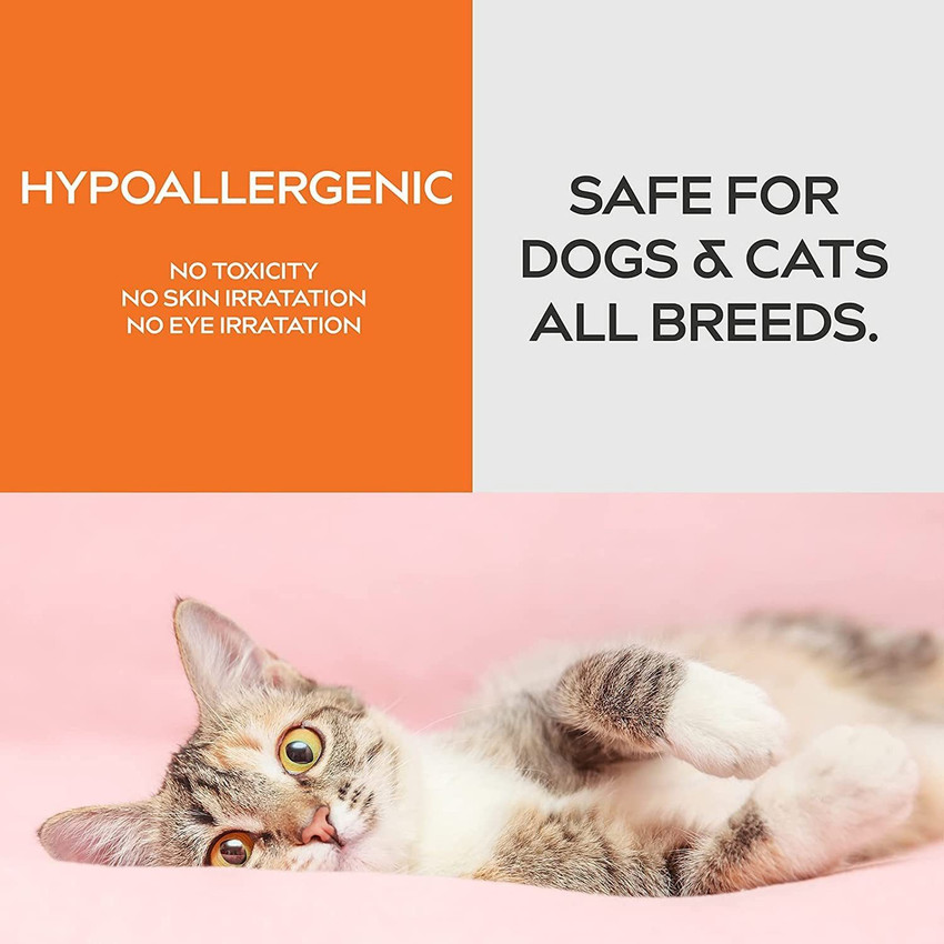 Pet corrector for cats online