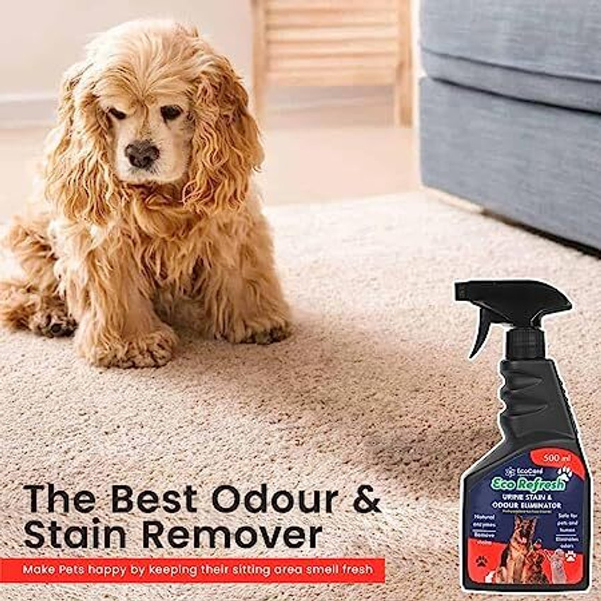 EcoCare EcoRefresh Urine stain Pet Feces Vomit Drool Bad smell Remover Liquid Spray Citrus Cologne Price in India Buy EcoCare EcoRefresh Urine stain Pet Feces Vomit Drool Bad smell Remover Liquid Spra...