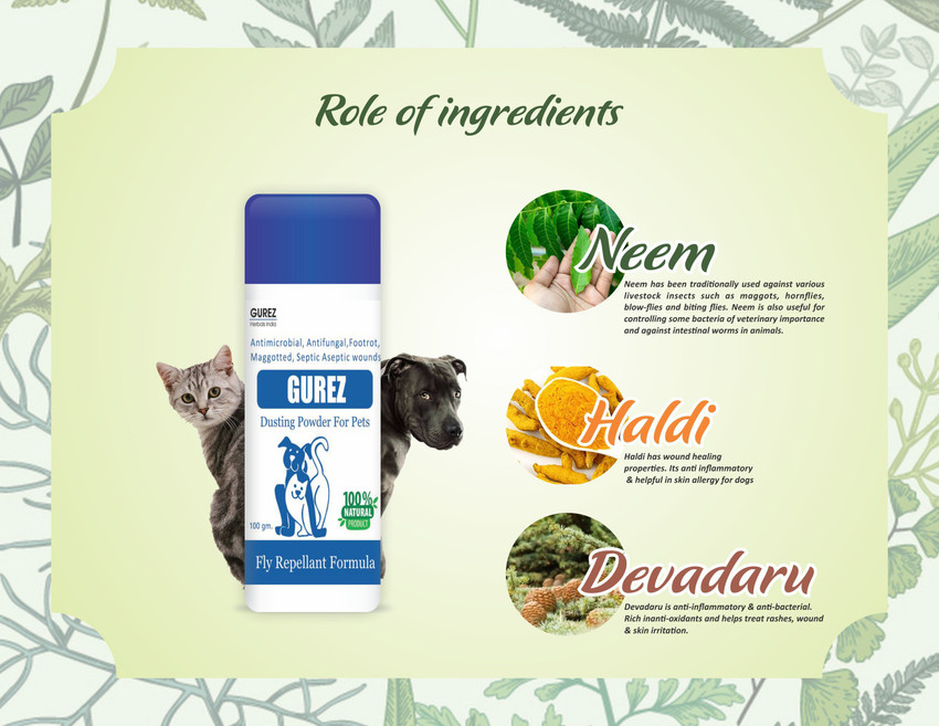 Allergy powder store for dogs