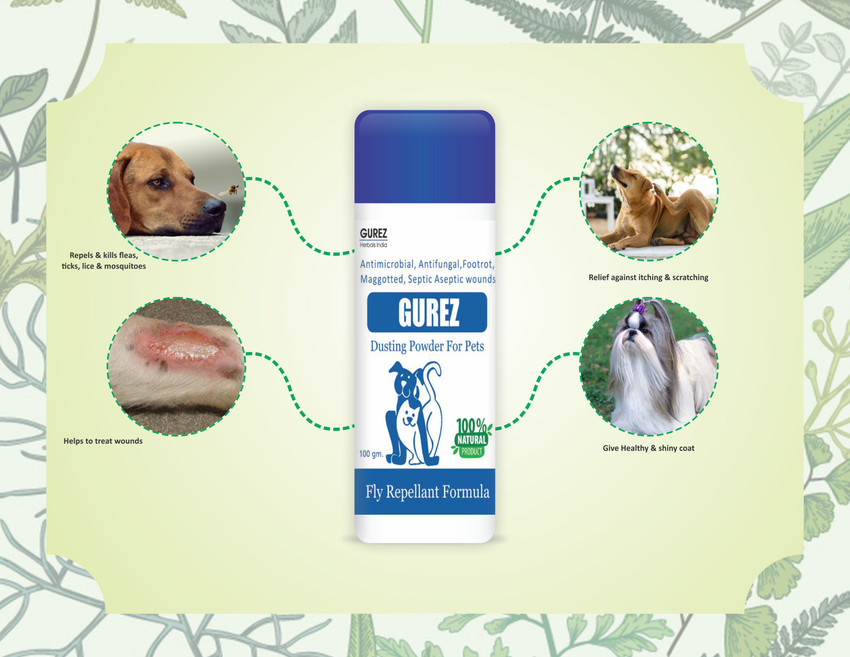Gurez Natural Pet Powder for Dogs and Cats Anti itching Anti Fungal Infection 200 Gm All Natural Cologne Price in India Buy Gurez Natural Pet Powder for Dogs and Cats Anti itching Anti Fungal Infectio...