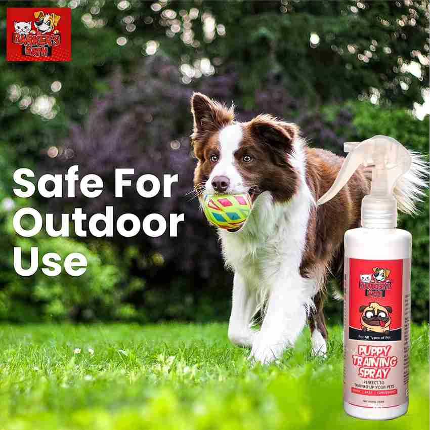 Pet corrector outlet for cats