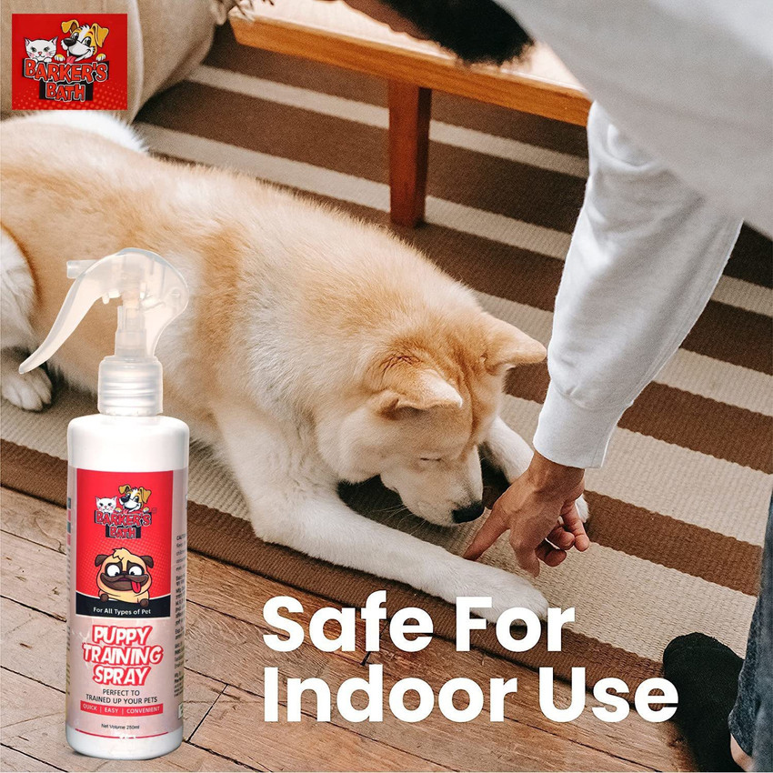 Puppy corrector clearance