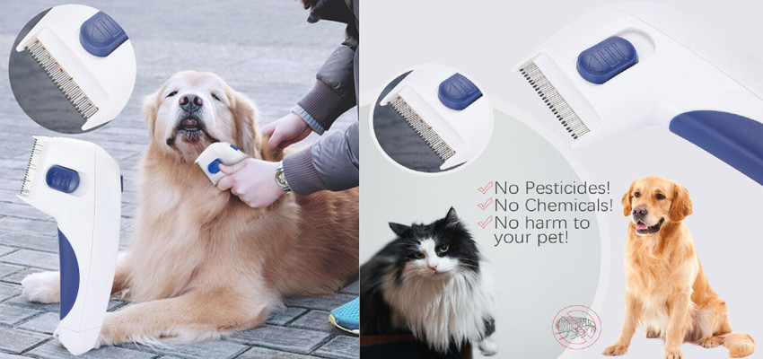 Electric head lice comb for pet top dog cat flea