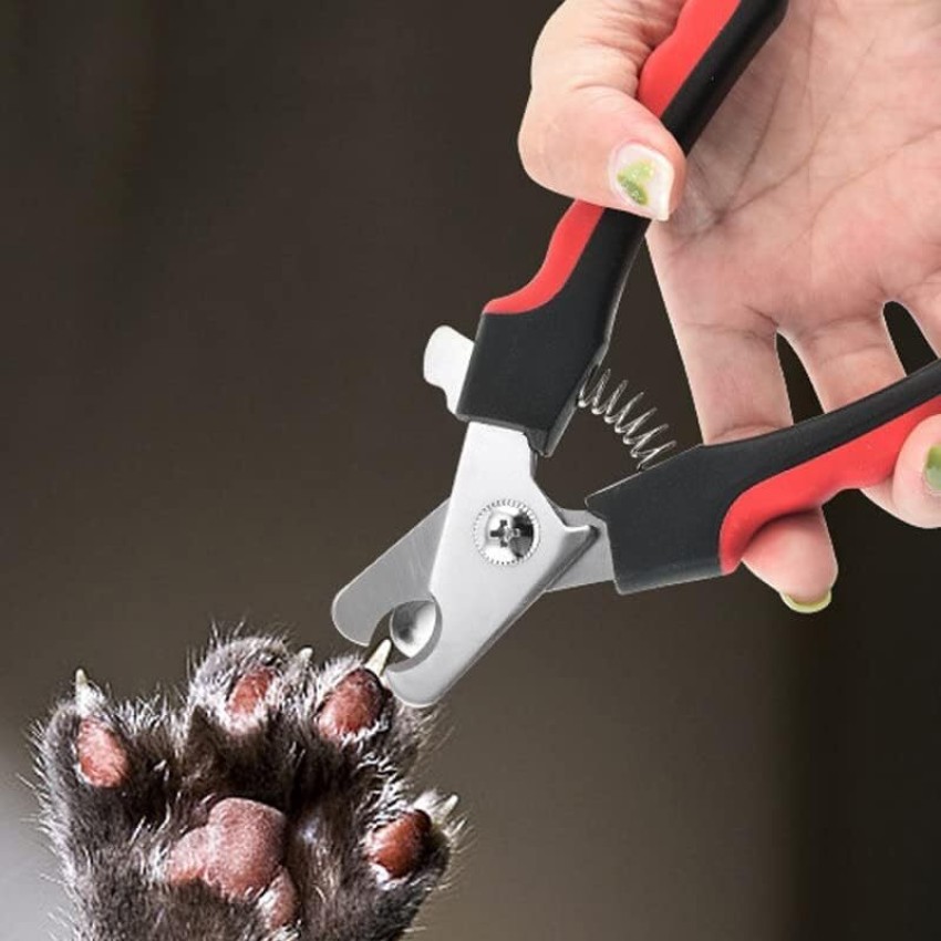 Dog nail cheap cutter flipkart