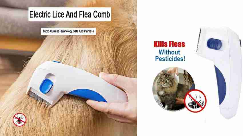 Brush that deals kills fleas