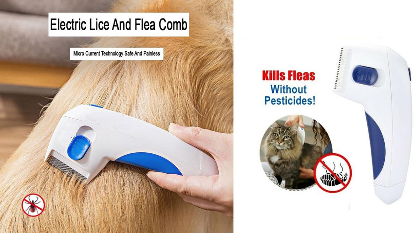 Electric lice comb deals for fleas