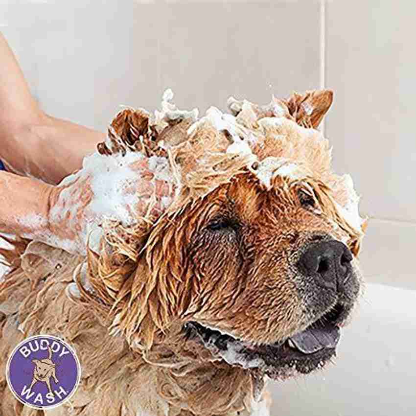 Buddy wash original lavender & shop mint dog shampoo & conditioner