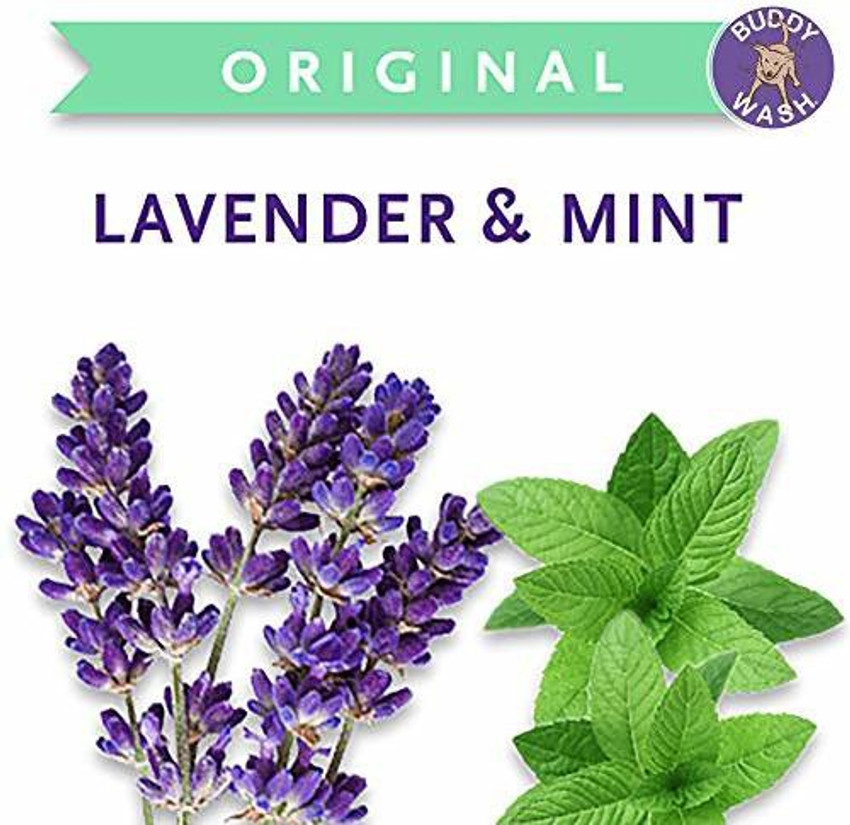 Cloud Star Buddy Wash Original Lavender Mint 2 in 1 Shampoo