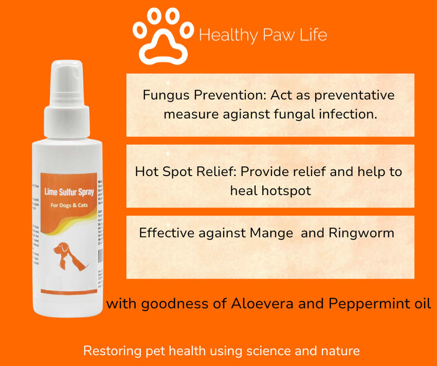 Healthy Paw Life Lime sulfur spray For Dog Cat Anti fungal Anti itching Anti parasitic NA Dog Shampoo Price in India Buy Healthy Paw Life Lime sulfur spray For Dog Cat Anti fungal