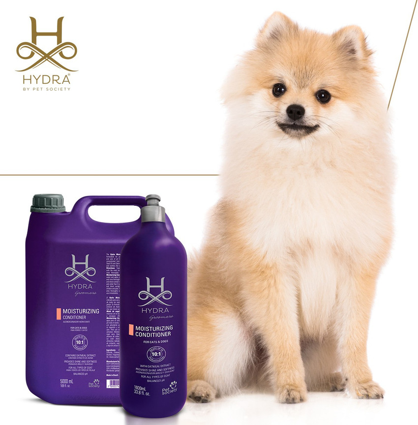 Hydra shampoo top dog
