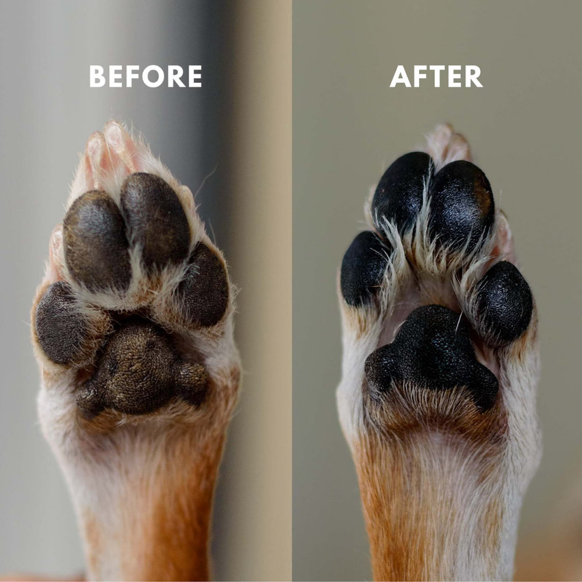 COCO CRUSH Paw Balm for Dogs Cats 100 Natural Care for Cracked Dry Paws Snout Pet Conditioner Price in India Buy COCO CRUSH Paw Balm for Dogs Cats