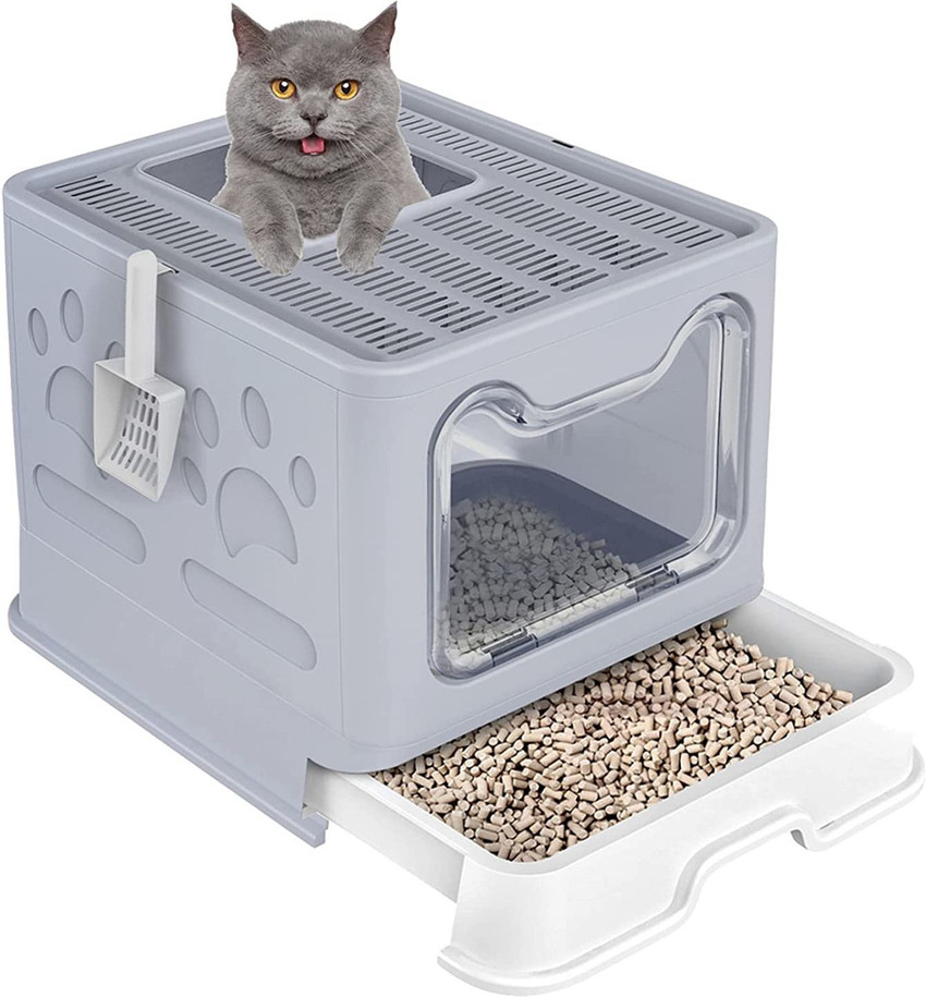Cat litter cheap box online