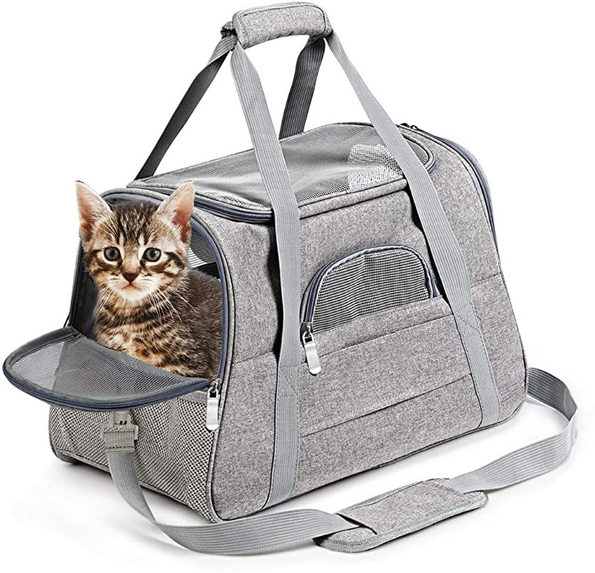Cat basket top on wheels