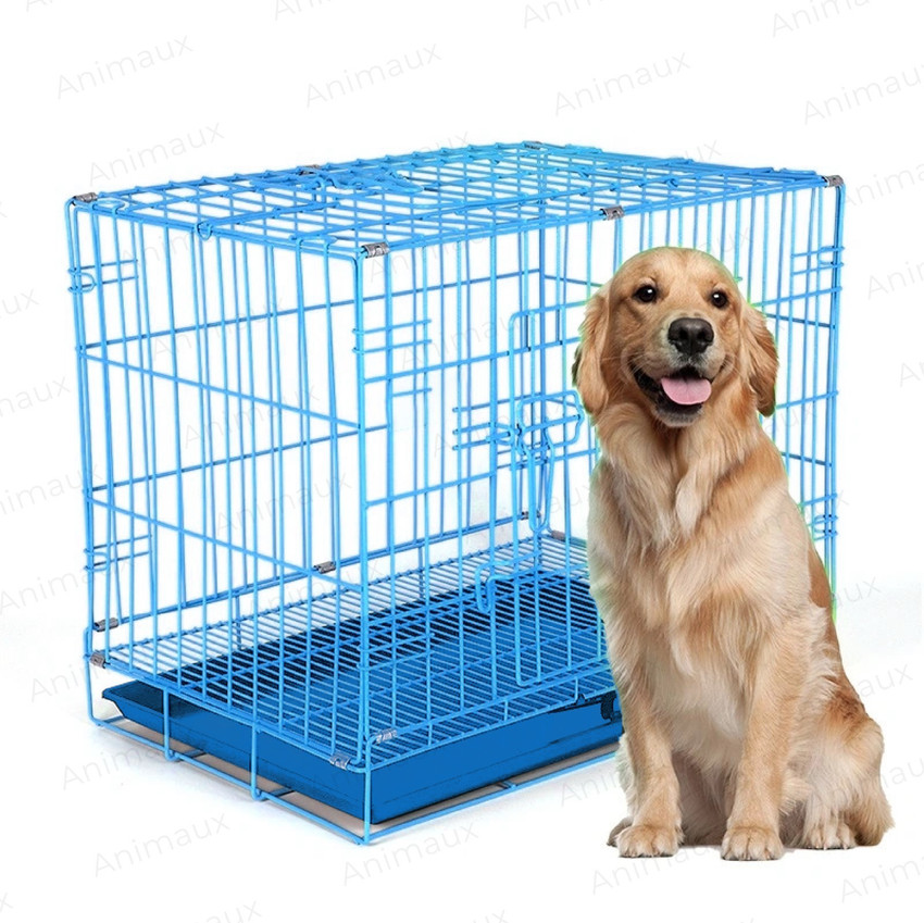 All dogs get in the outlet cage