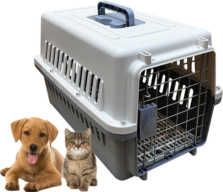 Cat in dog crate hot sale
