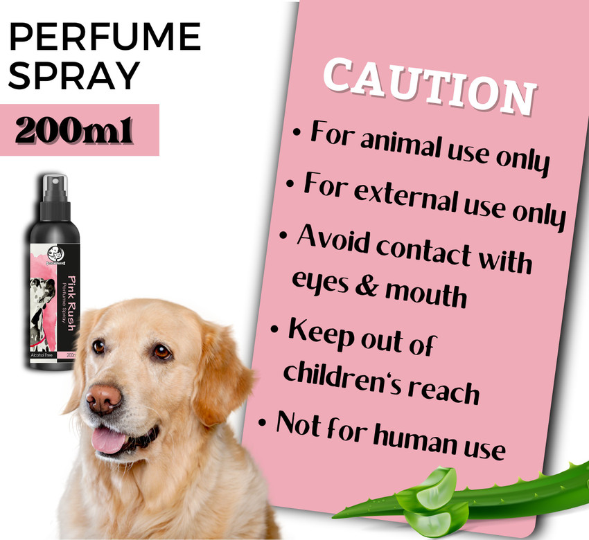 Pink sales rush perfume