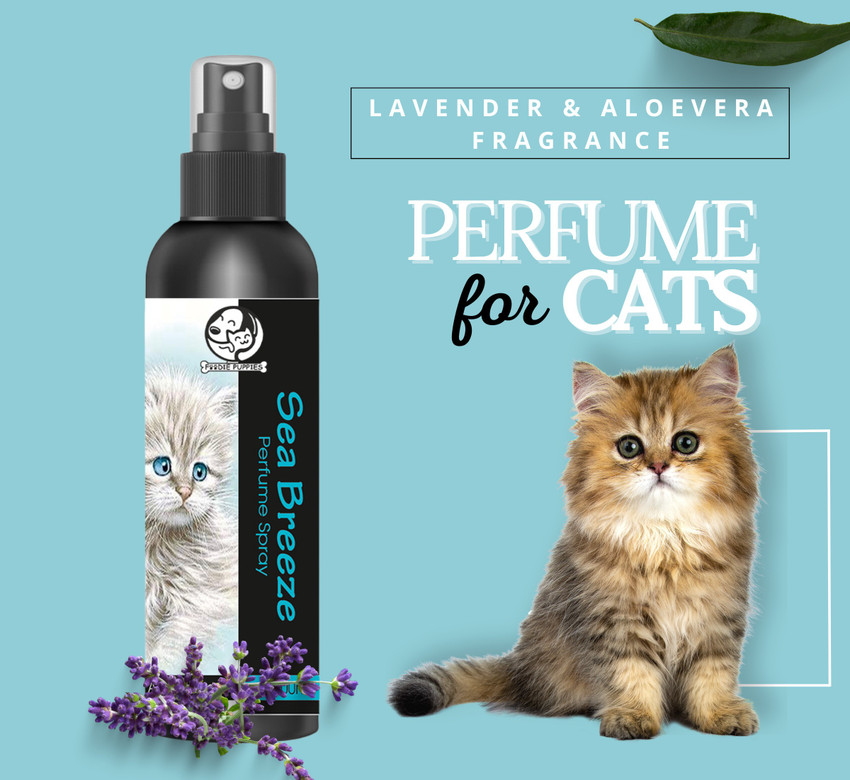 Foodie Puppies Sea Breeze Perfume Spray for Cats Kitten with Extract of Lavender and Aloe Vera Deodorizer Price in India Buy Foodie Puppies Sea Breeze Perfume Spray for Cats Kitten