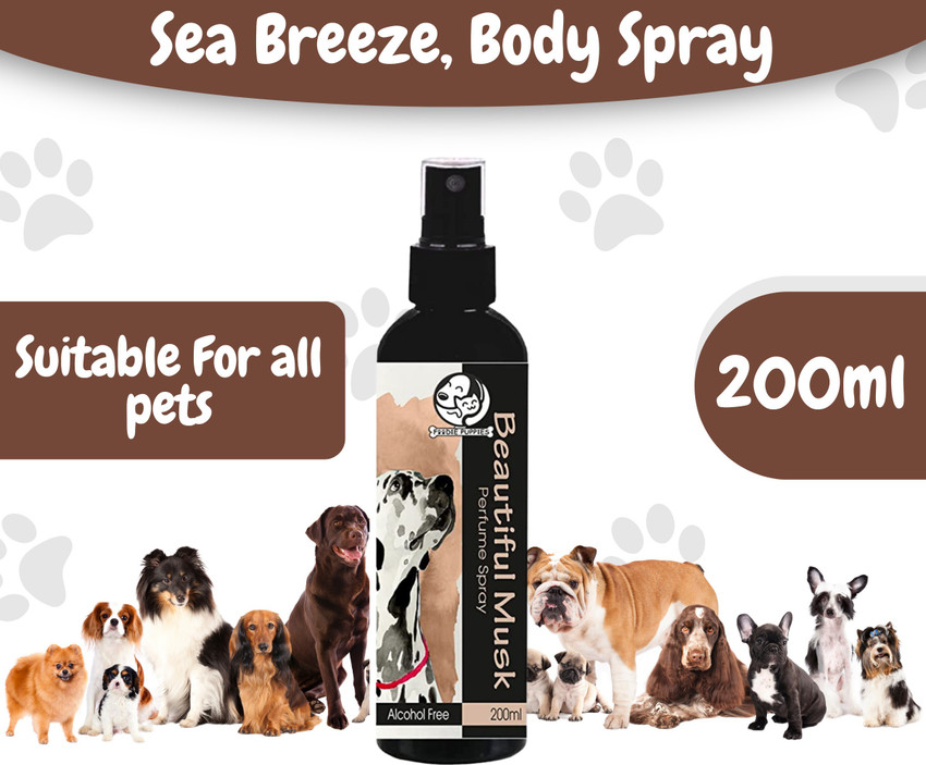 Musky perfume from an animal cheap
