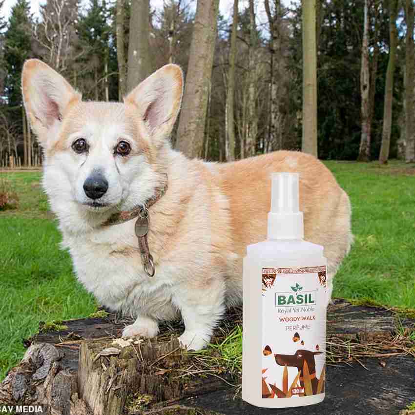 Basil perfume clearance