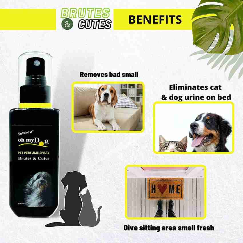 Oh my 2025 dog perfume