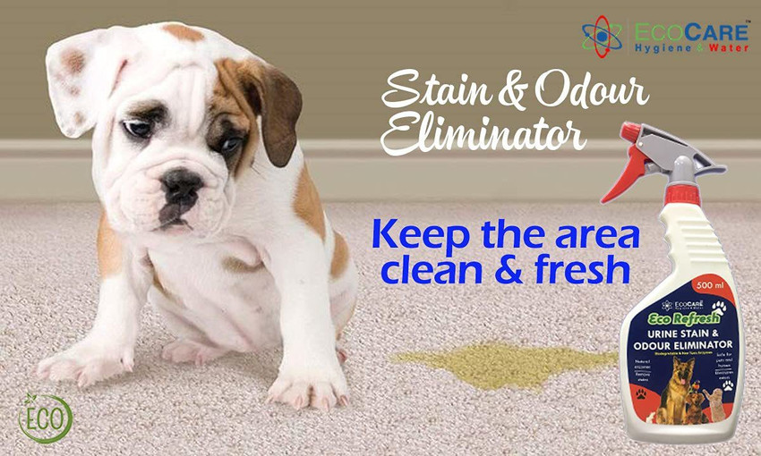 Dog urine outlet odour eliminator