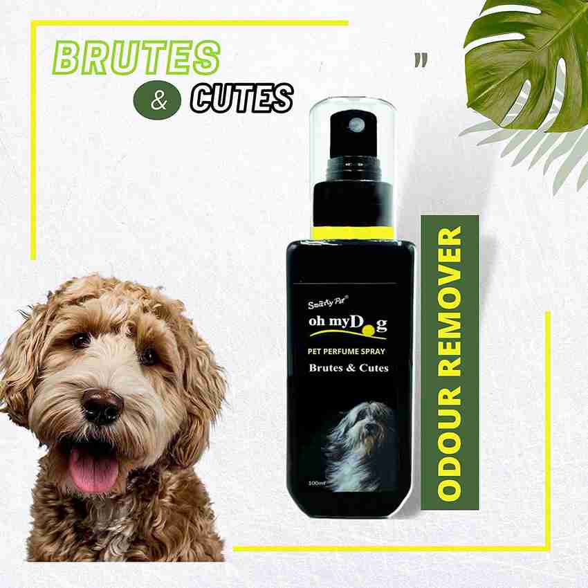 Oh My Pet Perfume Deodorizer Price in India Buy Oh My Pet