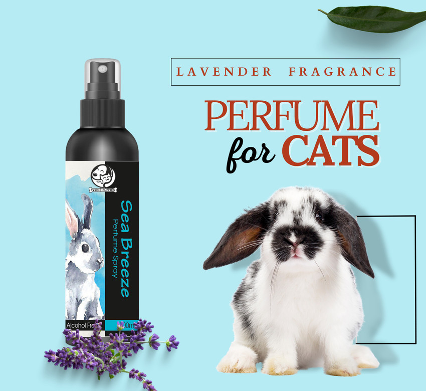 Pet perfume for cats deals