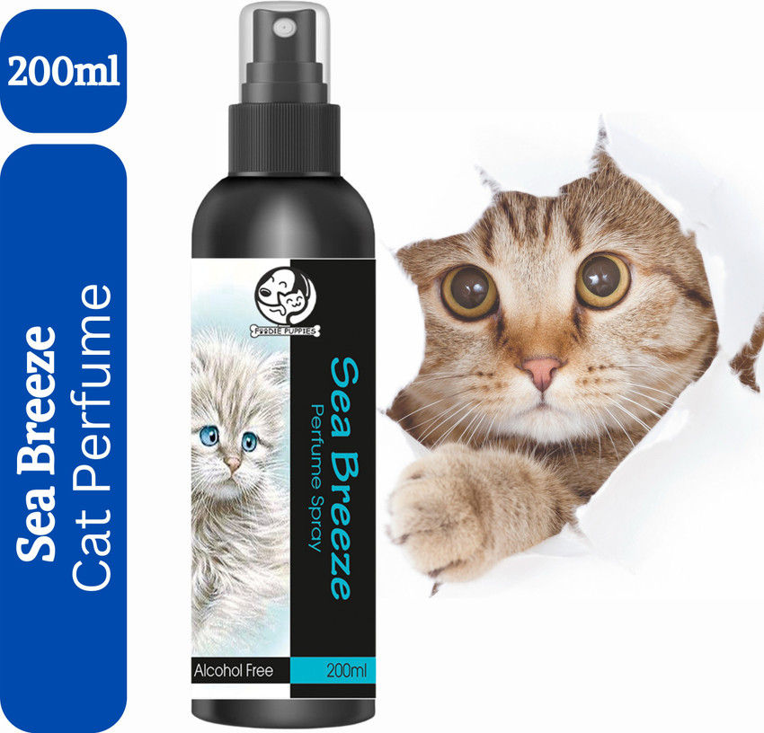 Cat perfume for cats outlet