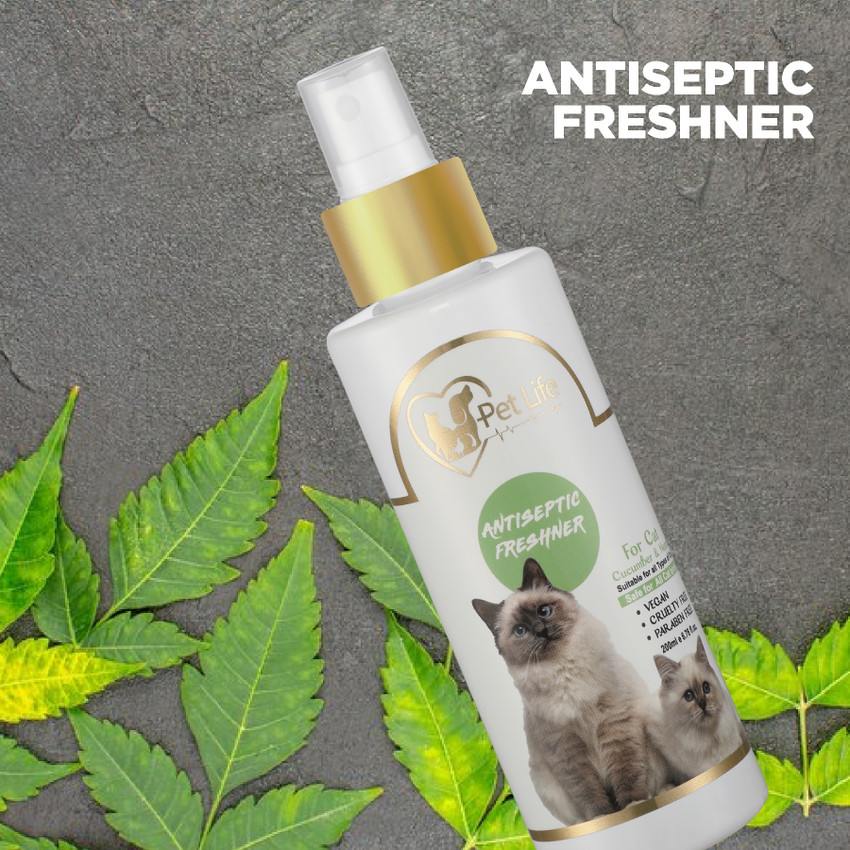 Deodorizer for cat urine online