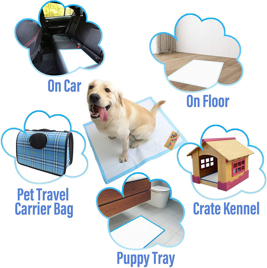 Western Era Dog Training pads Crate liner Quick dry Surface