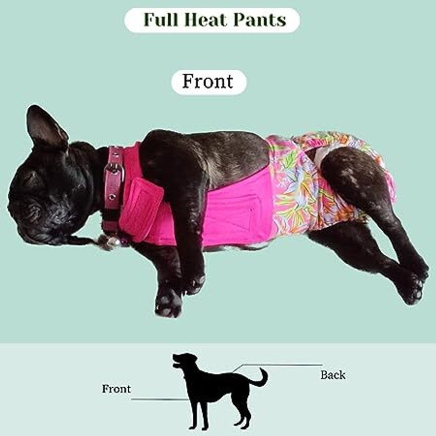 Pads for female 2025 dogs in heat