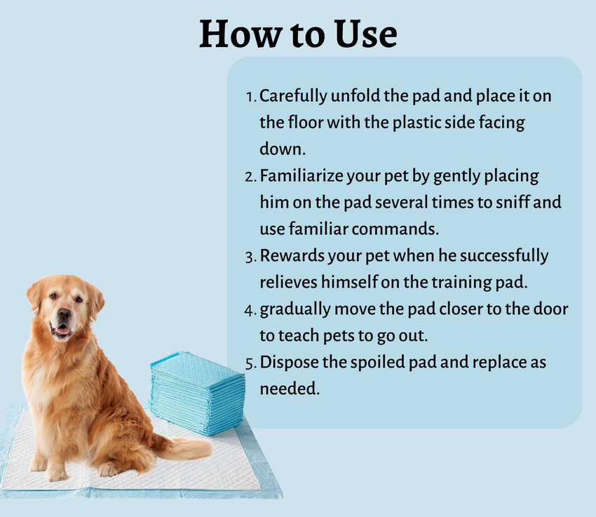 Dog diapers for potty training sales
