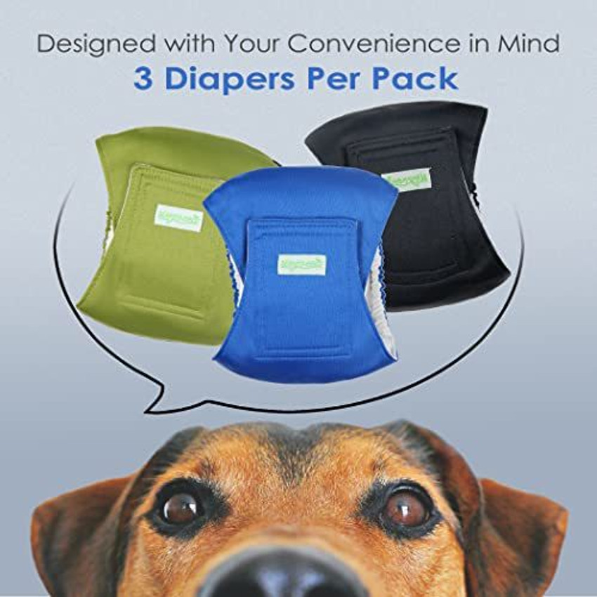 Wegreeco belly bands best sale