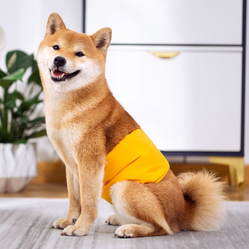 Waterproof dog hot sale diapers