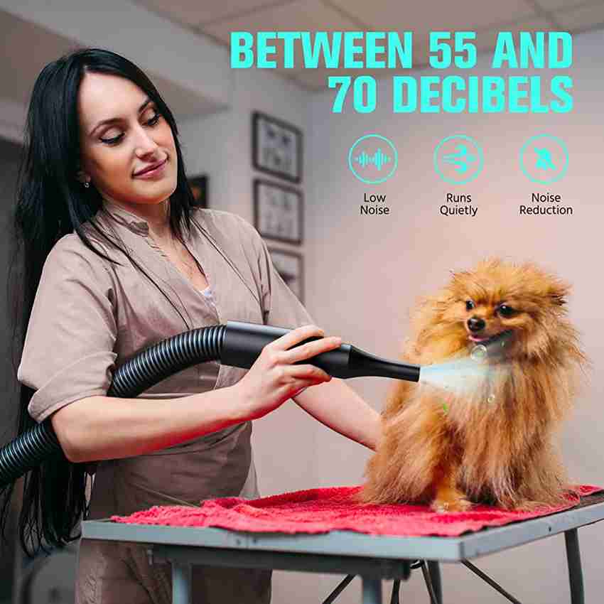 Qpets Dog Dryer for Pet Hair Dryer Dogs 5.2HP 3800W Pet Grooming