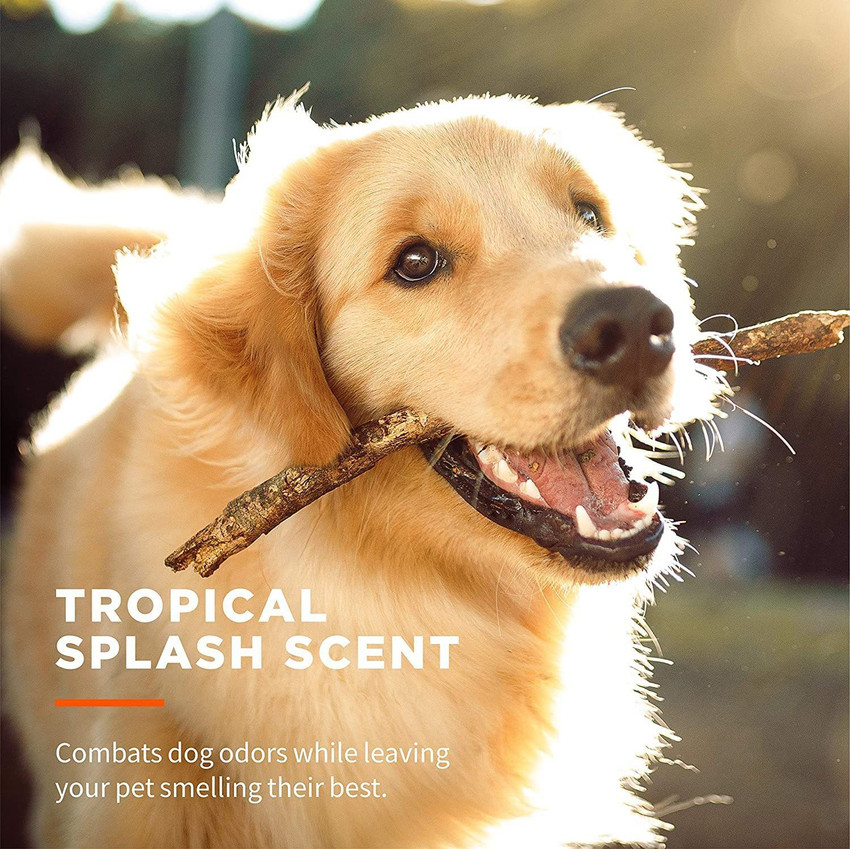 CORE CLEAN Pet Grooming Wipes for Dogs Cats Clean Your Pets Without Water Cleaning Wipes Price in India Buy CORE CLEAN Pet Grooming Wipes for Dogs Cats