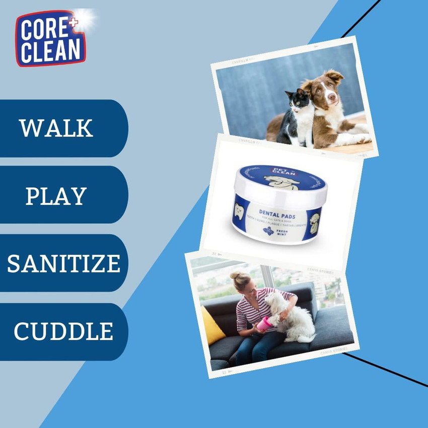 Pet on sale tooth wipes