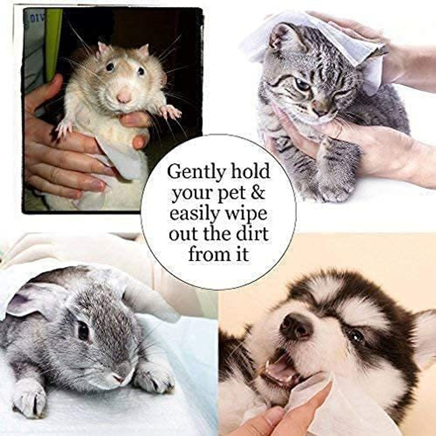 Tushie wipes for sales dogs