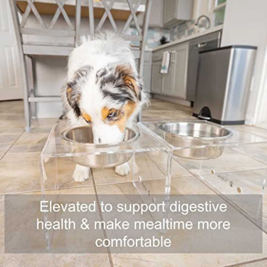 Petfusion elevated pet clearance feeder