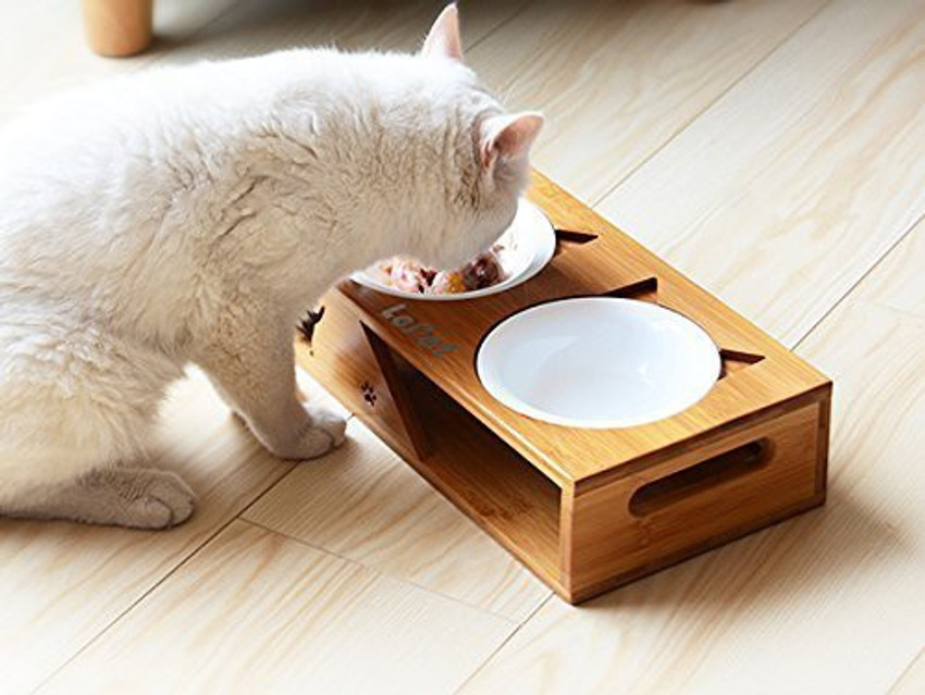 4 bowl cat feeder top