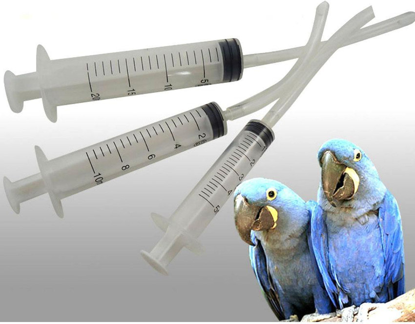 Pet clearance syringe feeder