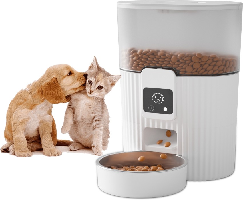 Automatic dog outlet food