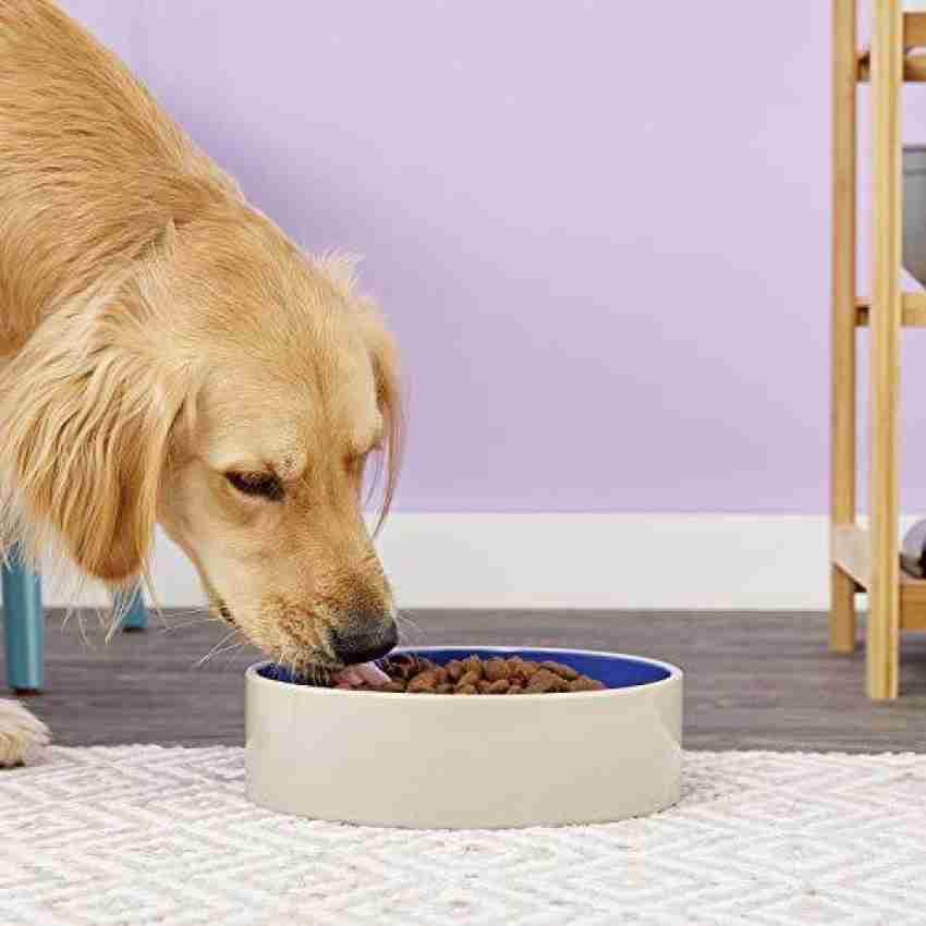 Ethical pet stoneware crock pet clearance dish