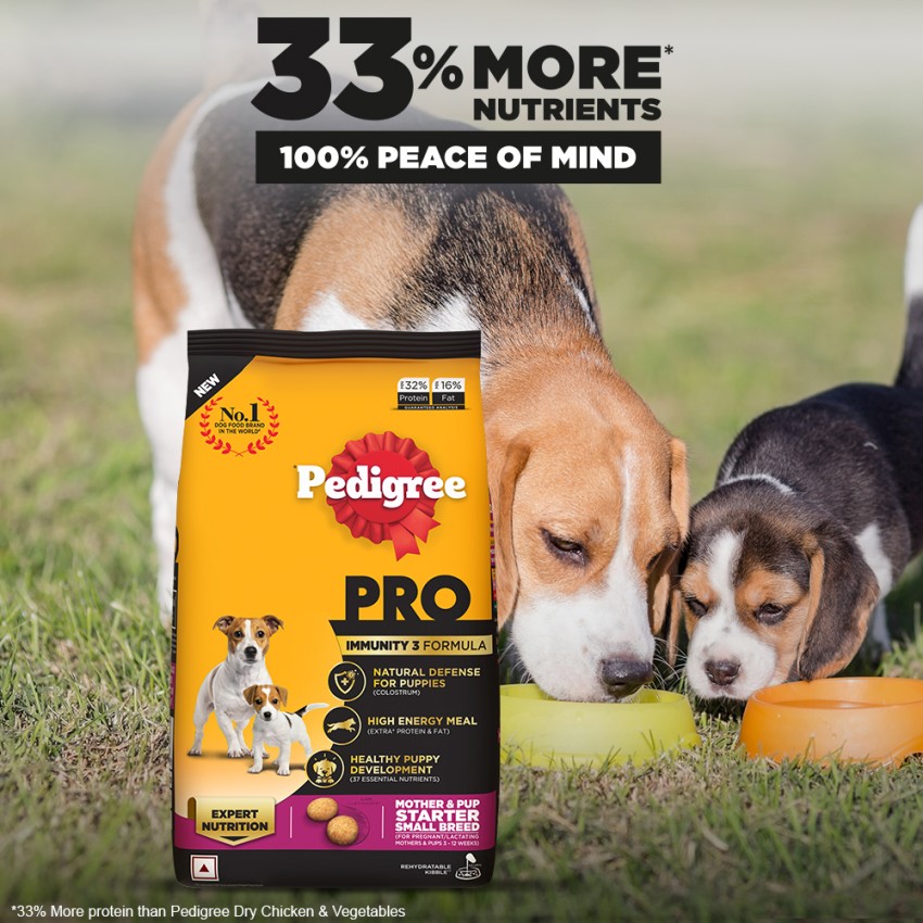 Pedigree mini clearance starter