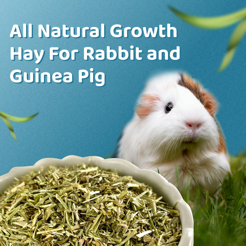 Luvfurpaws Alfalfa Hay Food for Rabbits Guinea Pig Hamsters and Other Small Animals 1 kg 2x0.5 kg Dry Adult Young Rabbit Food Price in India Buy Luvfurpaws Alfalfa Hay Food for