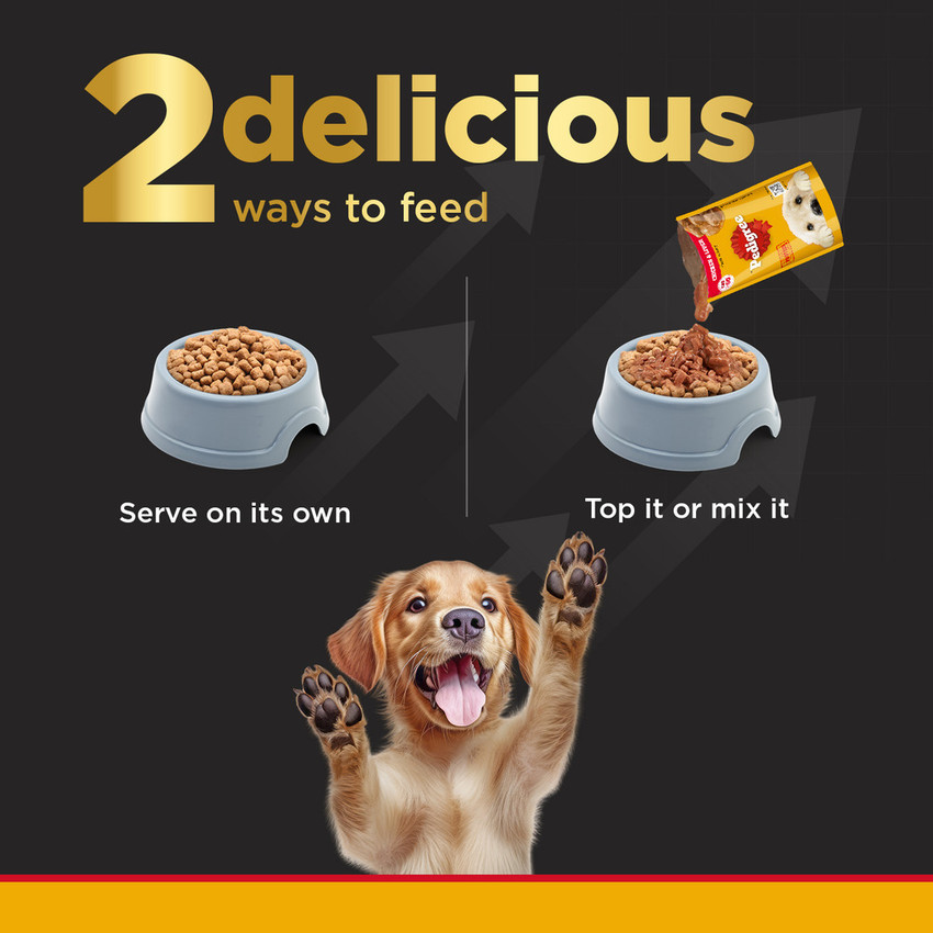 PEDIGREE PRO Puppy Large Breed 3 18 Months 10 kg Dry New Born Dog Food Price in India Buy PEDIGREE PRO Puppy Large Breed 3 18 Months 10 kg Dry New Born Dog Food online at Flipkart